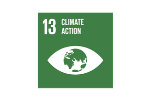SDG 13 — Lotta contro il cambiamento climatico