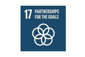 SDG 17 — Partnership per gli obiettivi
