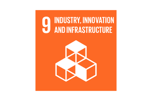 SDG 9 — Industria, innovazione e infrastrutture